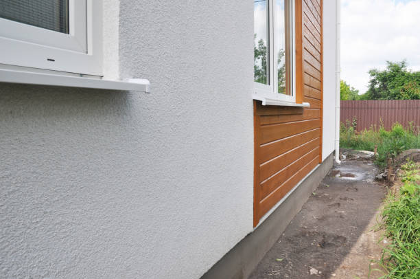 Best Custom Siding Design  in Santee, CA